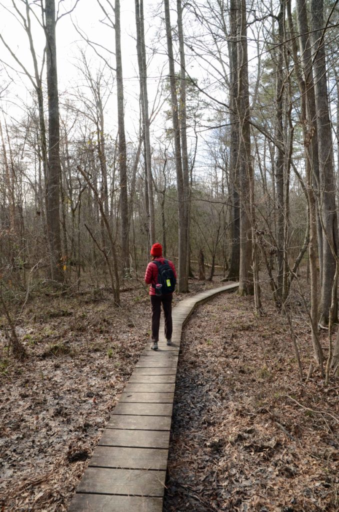 Woman crossing boardwalk on trail at Medoc Mountain State Park